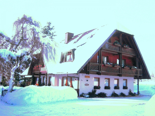 Ferienhaus im Park